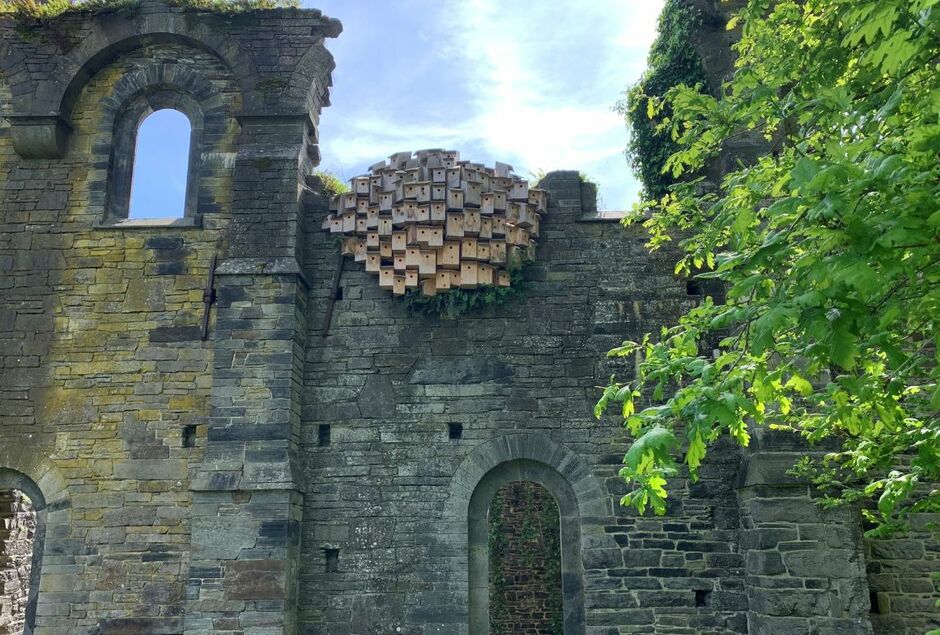 VISITE INSOLITE DE L'ABBAYE DE VILLERS-LA-VILLE ET DE SA BRASSERIE !